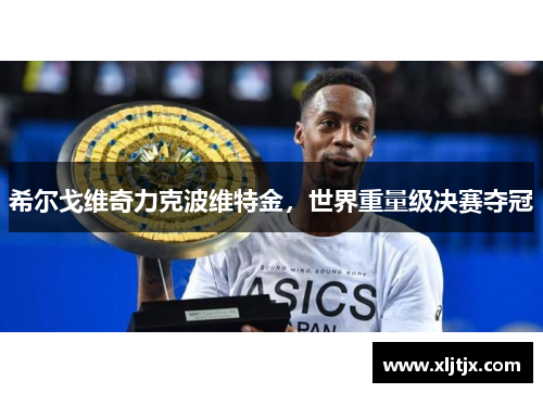希尔戈维奇力克波维特金，世界重量级决赛夺冠