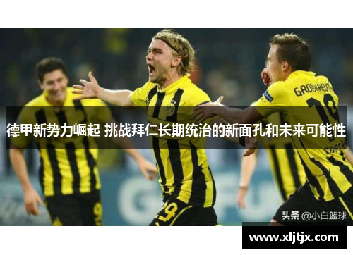 德甲新势力崛起 挑战拜仁长期统治的新面孔和未来可能性
