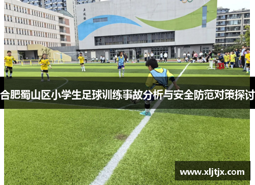 合肥蜀山区小学生足球训练事故分析与安全防范对策探讨