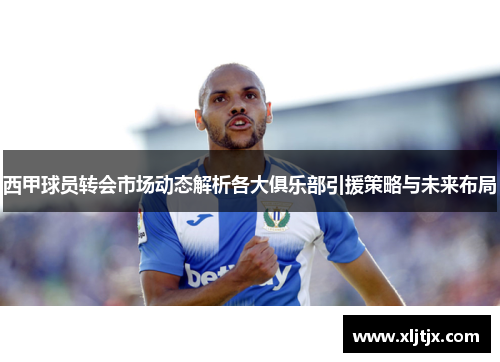 西甲球员转会市场动态解析各大俱乐部引援策略与未来布局 西甲球员转会市场动态解析各大俱乐部引援策略与未来布局