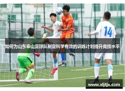 如何为山东泰山足球队制定科学有效的训练计划提升竞技水平