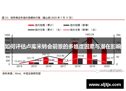 如何评估卢库米转会前景的多维度因素与潜在影响